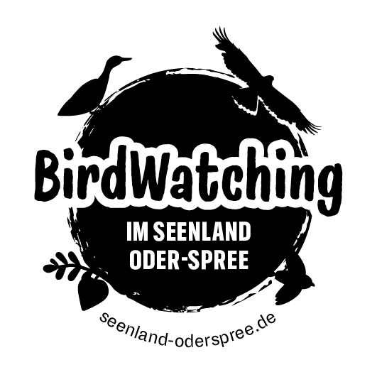 Birdwatching im Seenland Oder-Spree