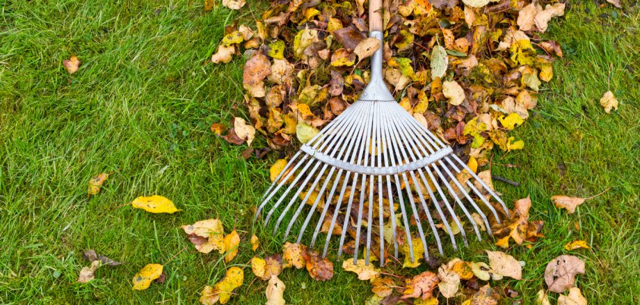 Design ohne Titel - 1 Design ohne Titel - 1